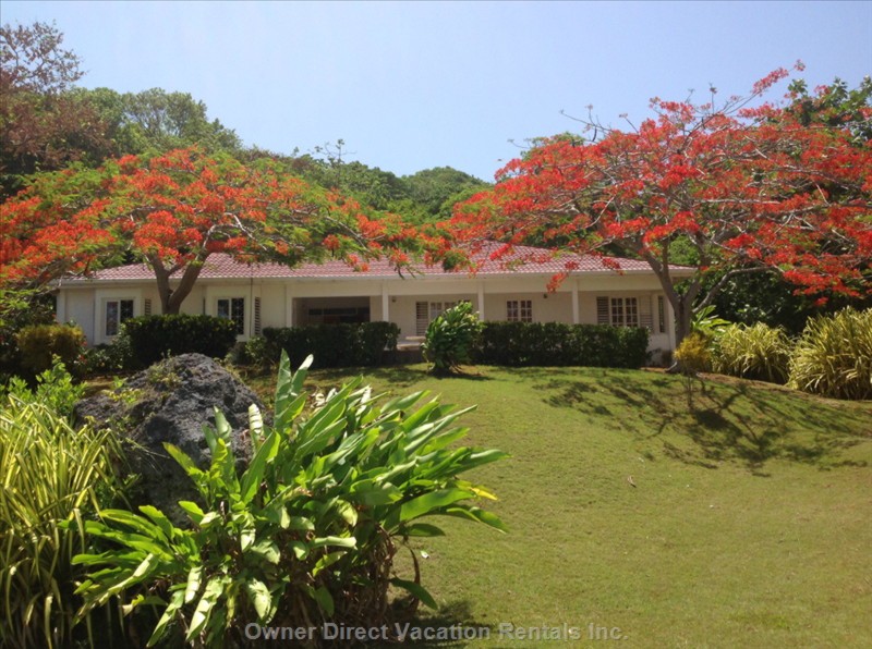 Jamaican villa privately nestled on a tropical hillside near Port Maria, Jamaica ID#10493