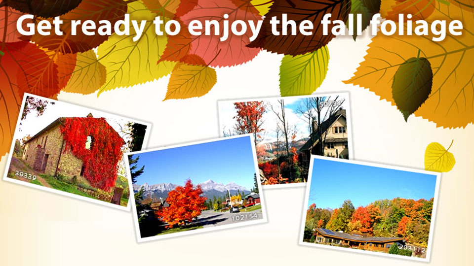 Top 5 destinations to view fall foliage in North America