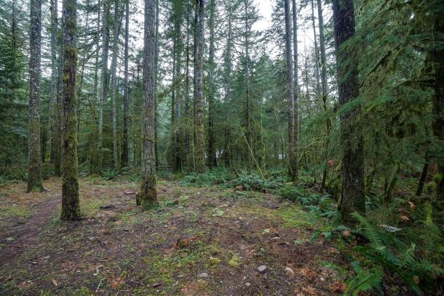  mt baker glacier vacation rentals vacation rentals united states washington deming 