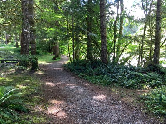  vacation rentals united states washington deming  mt baker hwy 