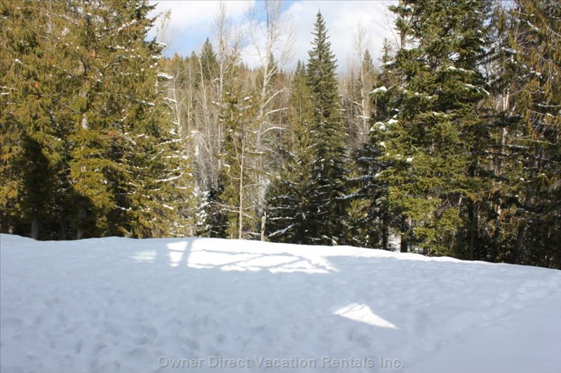  alpine trails vacation rentals vacation rentals canada british columbia fernie 