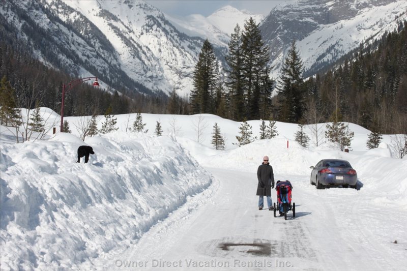  alpine trails vacation rentals vacation rentals canada british columbia fernie 