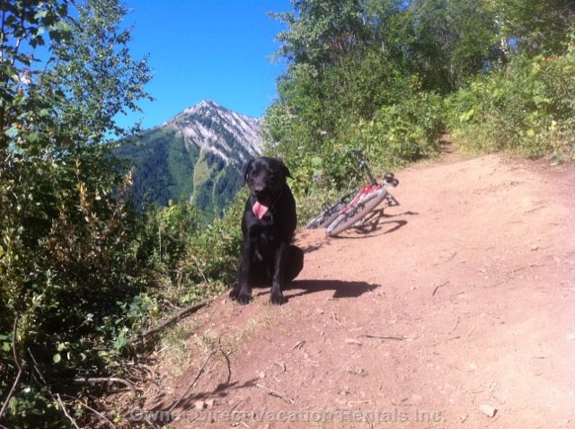  alpine trails vacation rentals vacation rentals canada british columbia fernie 