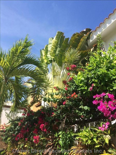 vacation rentals mexico quintana roo puerto morelos calle carey  