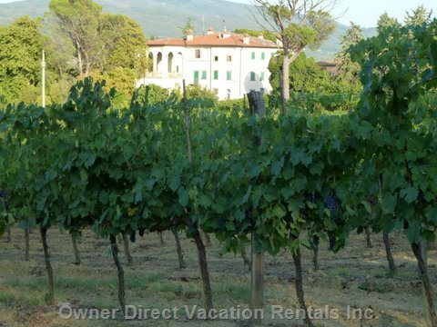  vacation rentals italy toscana arezzo localit ceciliano  
