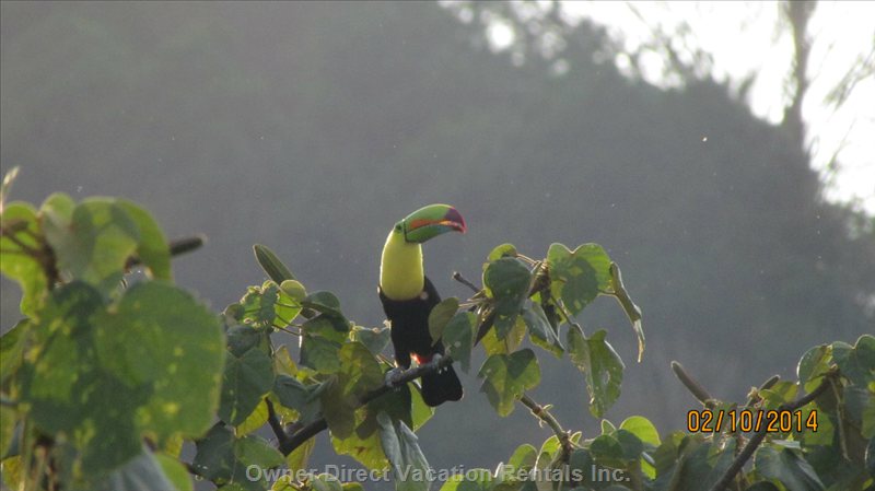  vacation rentals costa rica provincia de alajuela atenas calle boquern str 