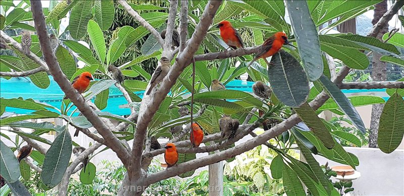  vacation rentals seychelles baie sainte anne baie ste anne baie ste anne 