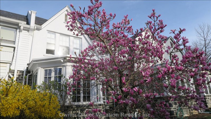  baltimore vacation rentals vacation rentals united states maryland baltimore 
