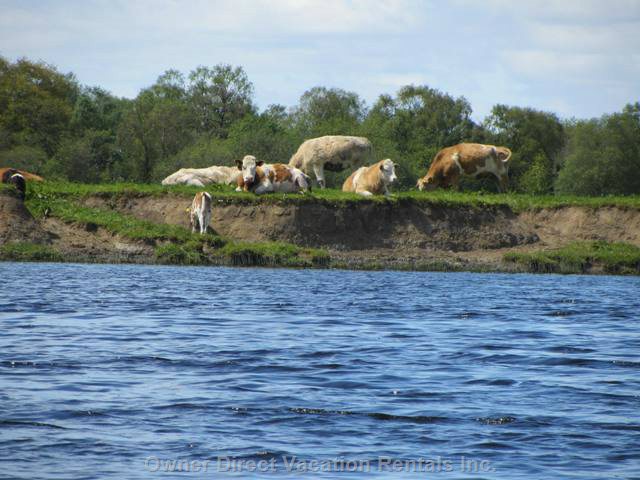  vacation rentals ireland county offaly cosgrave south lavagh road lusmagh 