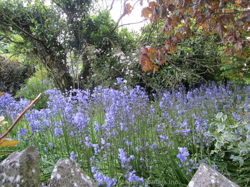  vacation rentals ireland county offaly cosgrave south lavagh road lusmagh 
