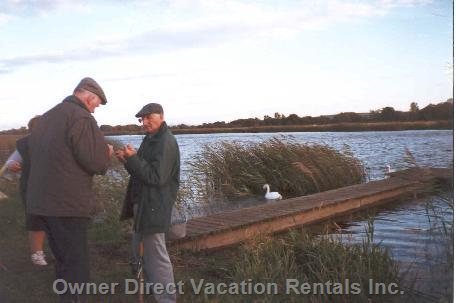  vacation rentals ireland county offaly cosgrave south lavagh road lusmagh 