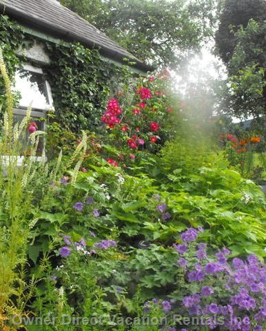  vacation rentals ireland county offaly cosgrave south lavagh road lusmagh 