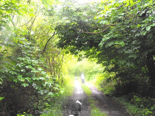  vacation rentals ireland county offaly cosgrave south lavagh road lusmagh 