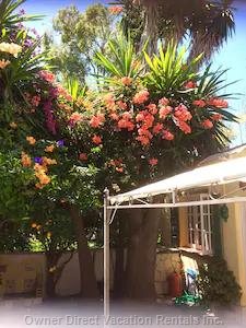  benajarafe vacation rentals vacation rentals spain andaluca vlez mlaga 