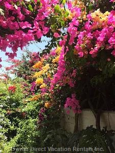  benajarafe vacation rentals vacation rentals spain andaluca vlez mlaga 