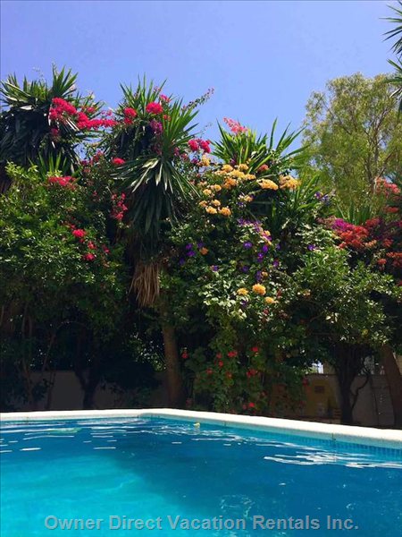  benajarafe vacation rentals vacation rentals spain andaluca vlez mlaga 