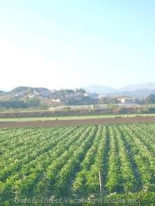  benajarafe vacation rentals vacation rentals spain andaluca vlez mlaga 