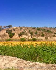  benajarafe vacation rentals vacation rentals spain andaluca vlez mlaga 