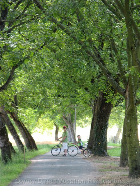  vacation rentals france nouvelle aquitaine beynac et cazenac  rue tibal lo garrel 