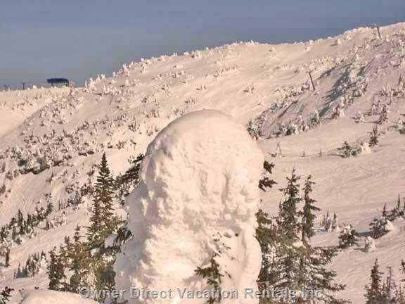  the aspens vacation rentals vacation rentals canada british columbia beaverdell 