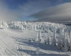  vacation rentals canada british columbia beaverdell  porcupine road 