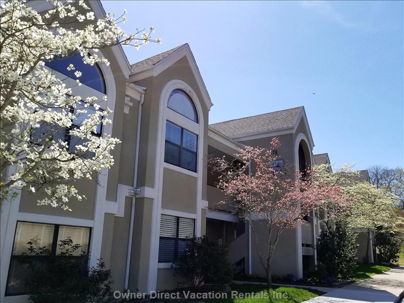  vacation rentals united states missouri branson  wimbledon dr 