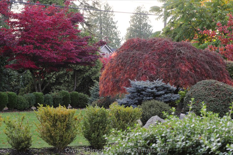  vacation rentals canada british columbia burnaby  buckingham ave 
