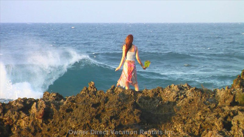  vacation rentals dominican republic puerto plata province cabarete calle del sol  