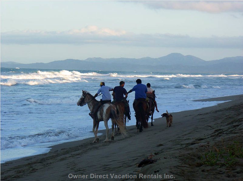 vacation rentals dominican republic puerto plata province cabarete