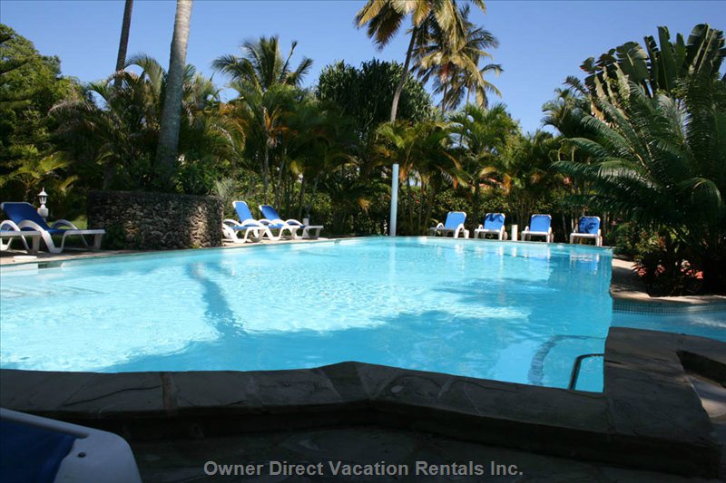 vacation rentals dominican republic puerto plata province cabarete