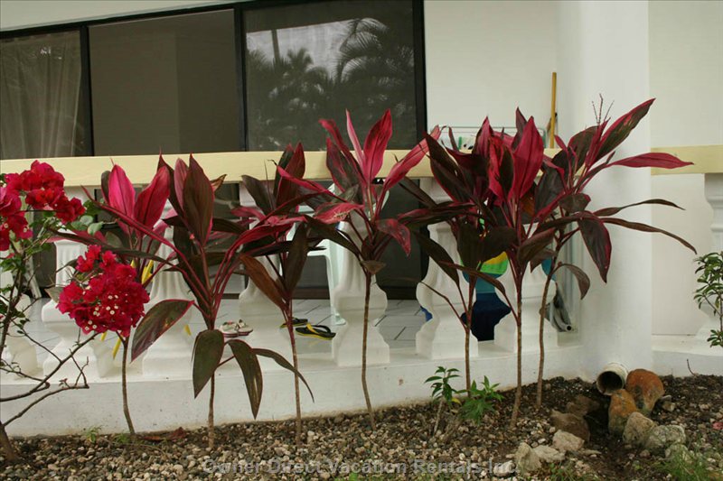  vacation rentals dominican republic puerto plata province cabarete calle del sol  