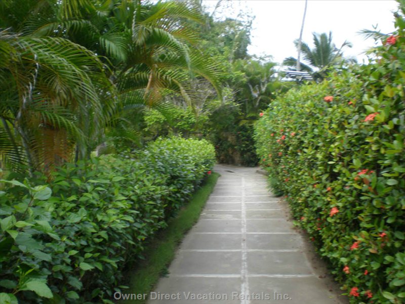  vacation rentals dominican republic puerto plata province cabarete calle del sol  