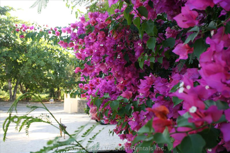 vacation rentals dominican republic puerto plata province cabarete calle del sol  