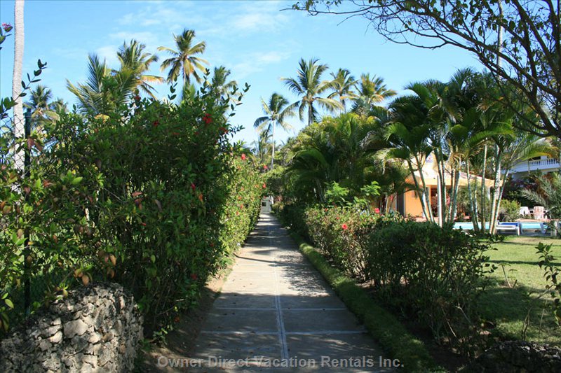  vacation rentals dominican republic puerto plata province cabarete calle del sol  