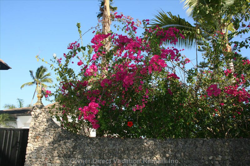 vacation rentals dominican republic puerto plata province cabarete calle del sol  