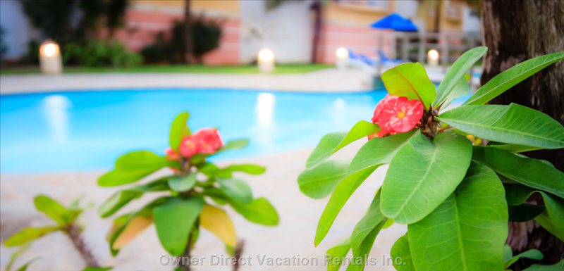  ocean dream vacation rentals vacation rentals dominican republic puerto plata province cabarete 