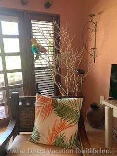  nanny estate vacation rentals vacation rentals dominican republic puerto plata province cabarete 