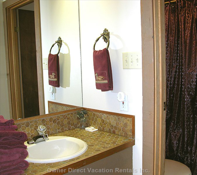  moguls vacation rentals vacation rentals canada british columbia beaverdell 