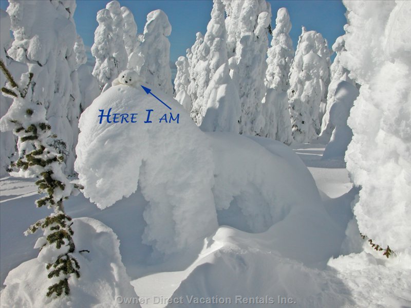  moguls vacation rentals vacation rentals canada british columbia beaverdell 