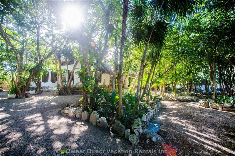  vacation rentals mexico quintana roo alfredo v bonfil av francisco i madero  