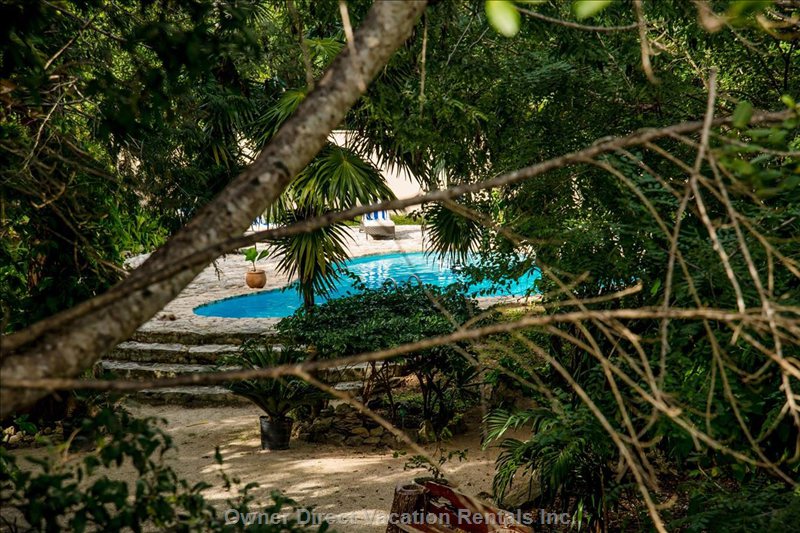  vacation rentals mexico quintana roo alfredo v bonfil av francisco i madero  
