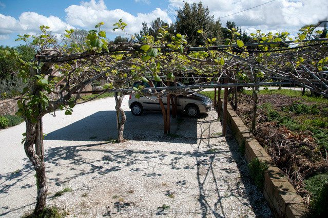  vacation rentals italy toscana rivalto via margherita  