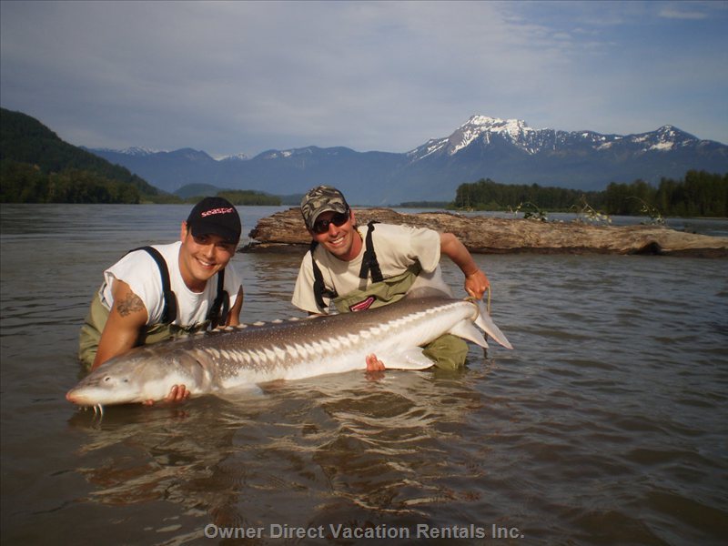  chilliwack vacation rentals vacation rentals canada british columbia chilliwack 
