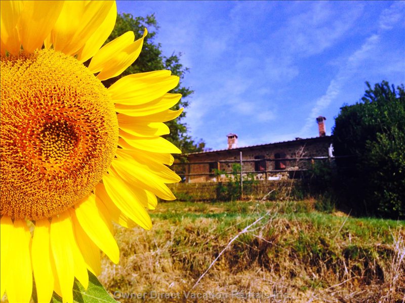  vacation rentals italy toscana chiusi strada di poggio cantarello  