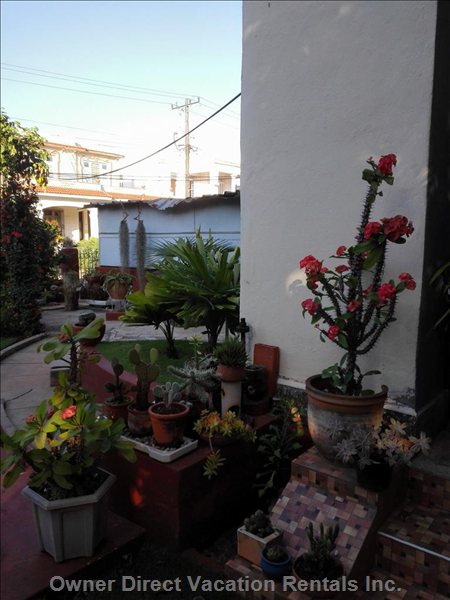  vedado vacation rentals vacation rentals cuba la habana la habana 