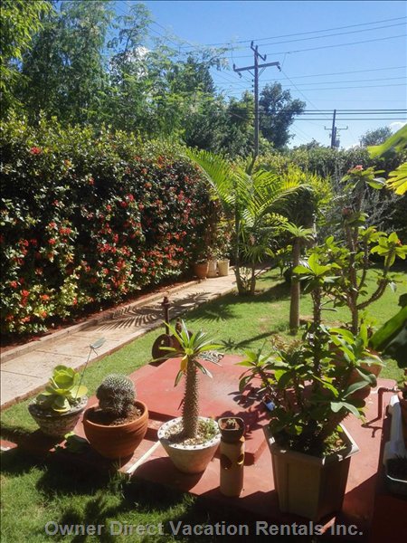  vedado vacation rentals vacation rentals cuba la habana la habana 