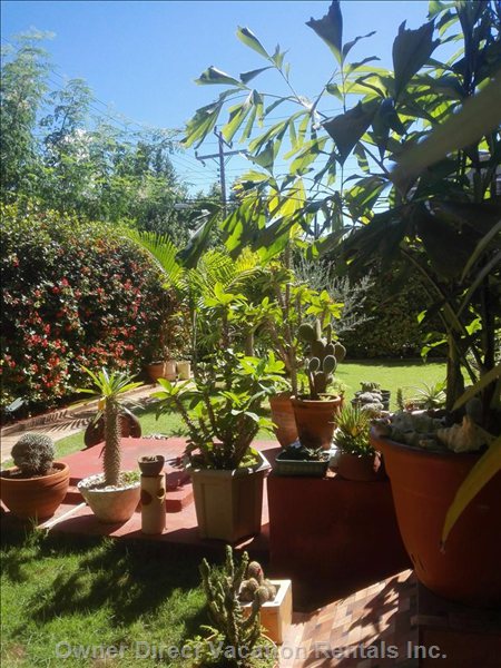  vedado vacation rentals vacation rentals cuba la habana la habana 