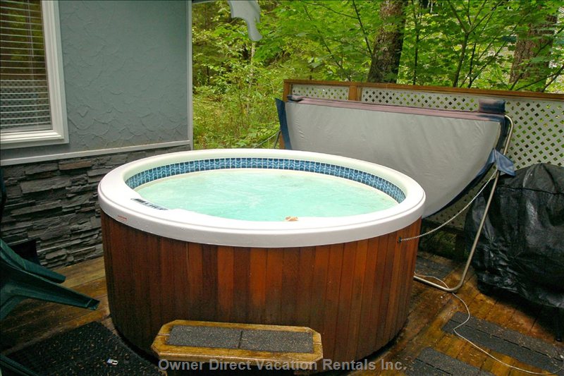  vacation rentals united states washington deming  canyon view drive 