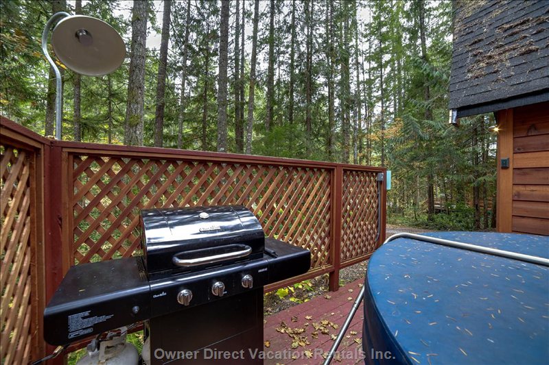  vacation rentals united states washington deming  canyon view drive 