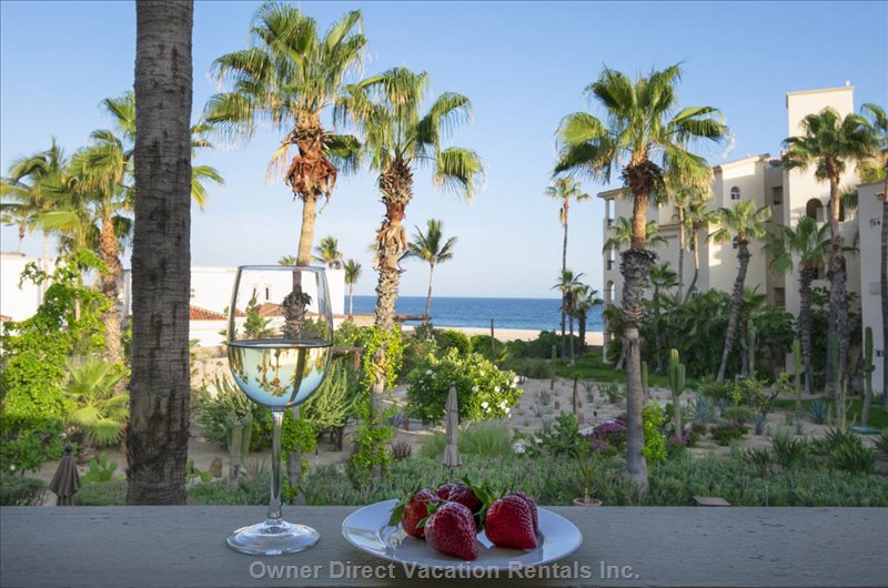  las mananitas vacation rentals vacation rentals mexico baja california sur san jos del cabo 